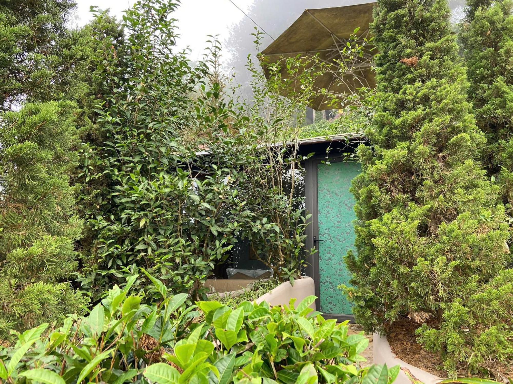 Hippie Home Moc Chau Eksteriør bilde